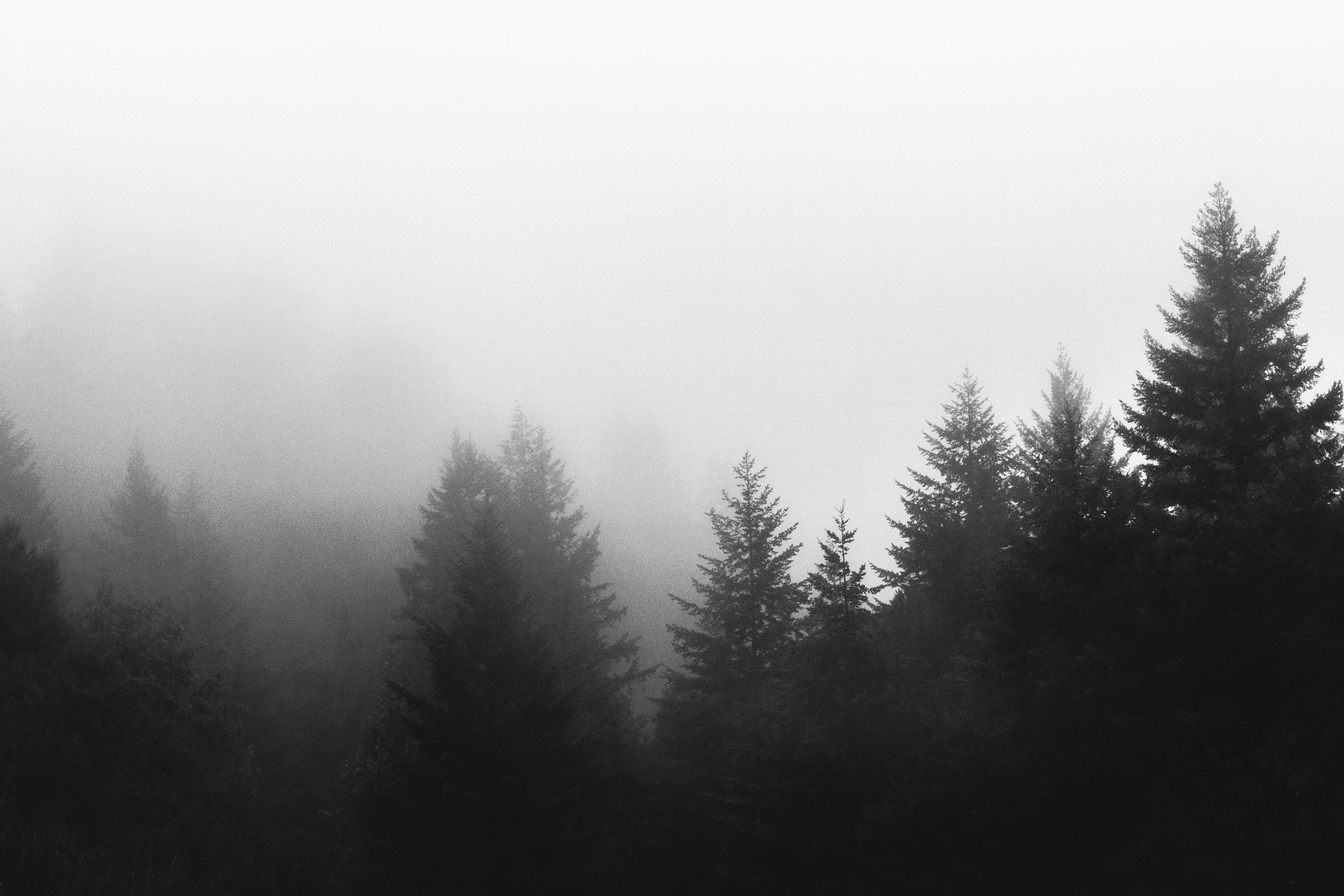 nevergreen hills against a changing sky